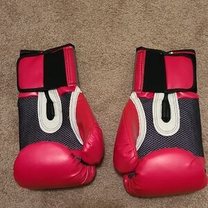 Red and Black Pro Style Training (Boxing) Gloves, 12 Oz Weight, EUC